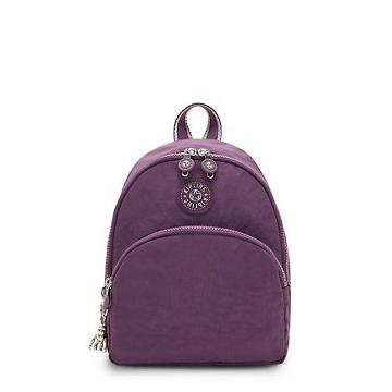 Kipling Paola Small Ryggsekk Lilla | NO 1617LI